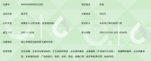 海南青椰文化传播 海口网络公司的本土化创新之路