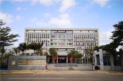 椰岛新鲜生榨椰子汁 245ml植物蛋白饮料与海口网络公司的数字化营销新范例